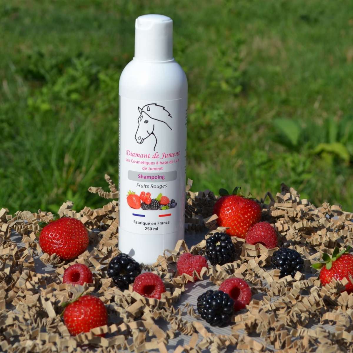 Shampoing Fruits rouges